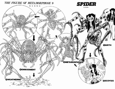 SpiderShelter1.jpg