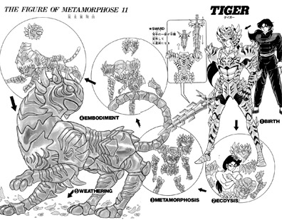 TigerShelter1.jpg